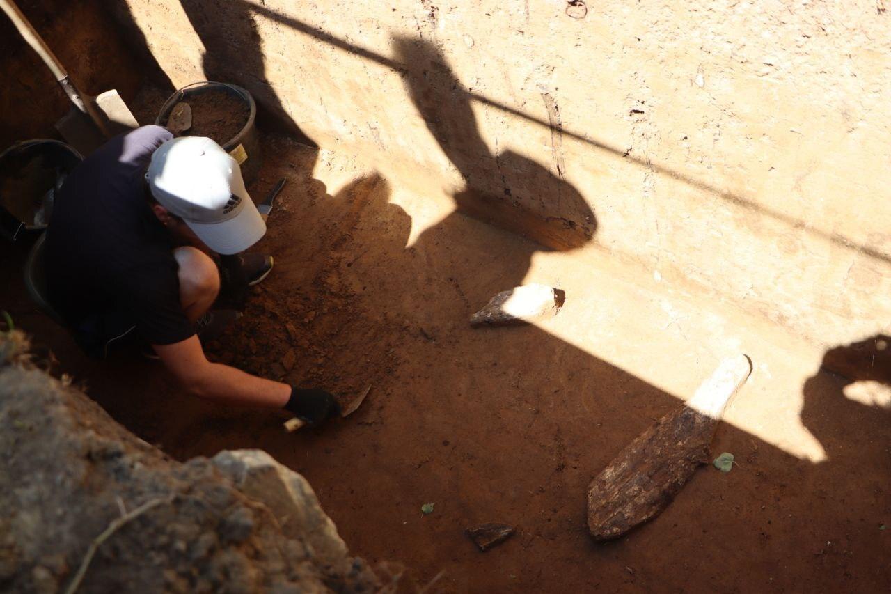 В Подмосковье нашли бивни мамонта