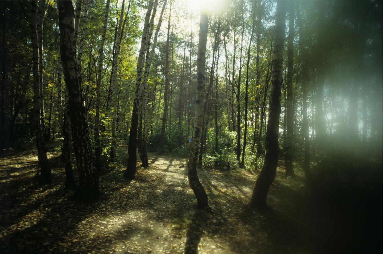 Извращенец напал на москвичку в парке