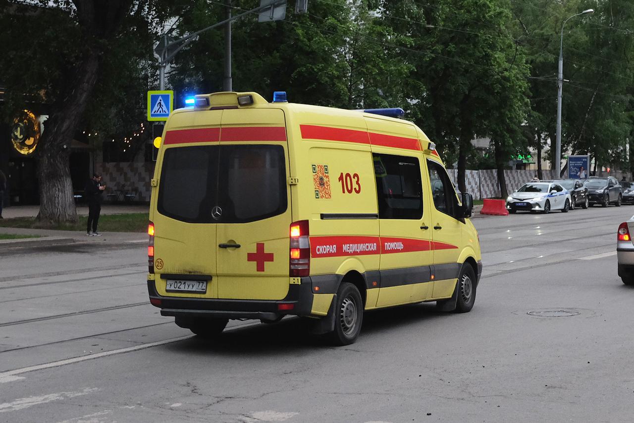 Двухлетняя девочка съела гриб в московском дворе и попала в больницу