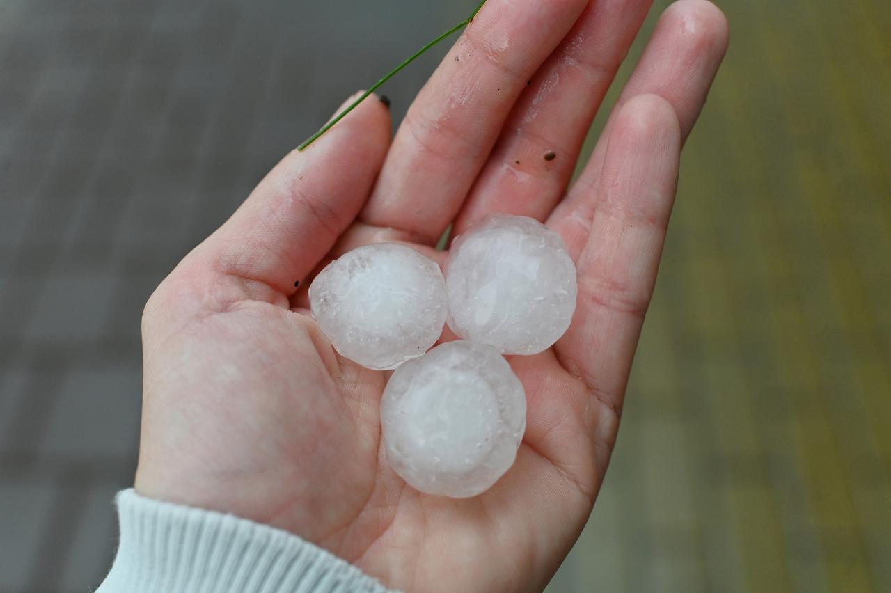 МЧС выпустило экстренное предупреждение об опасной погоде в Москве