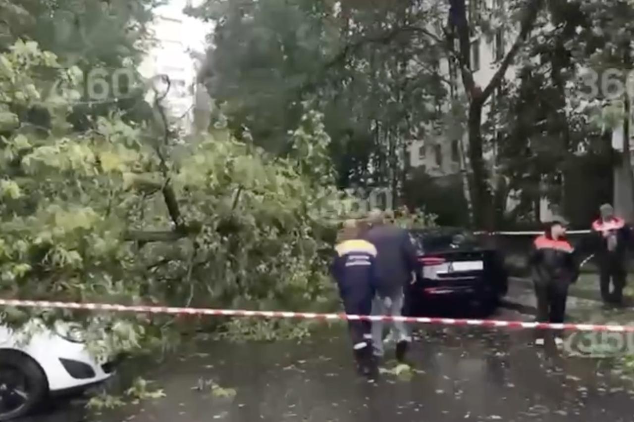 Массовое повреждение машин из-за непогоды в Москве попало на видео