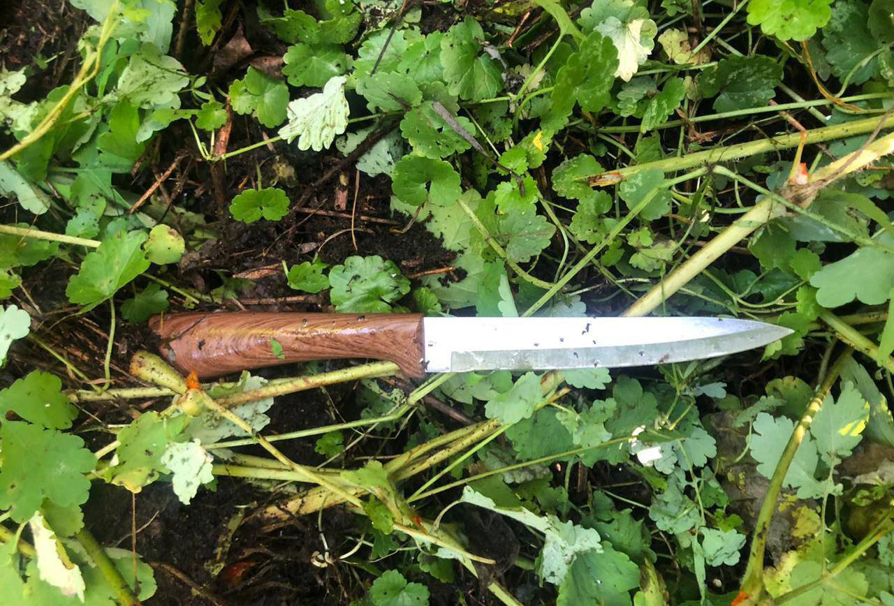 Раскрыто убийство 11-летнего ребенка в московском парке