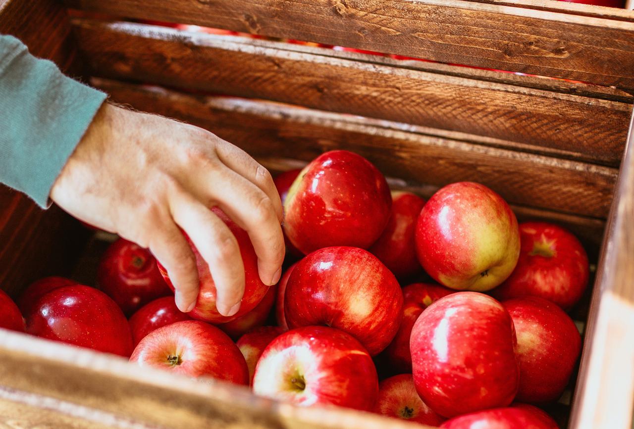 Эндокринолог рассказала о рисках летнего рациона