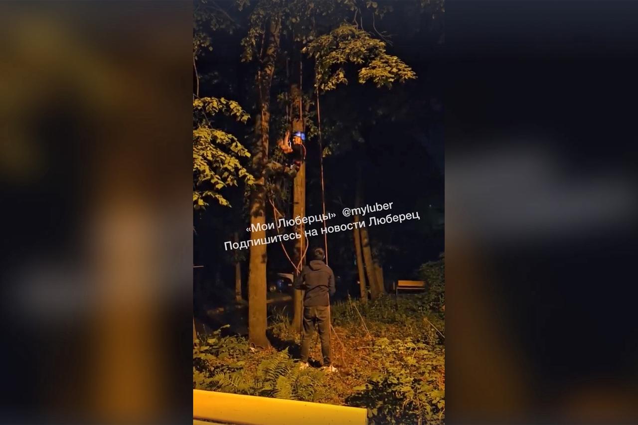 Операция по спасению кота в Подмосковье попала на видео