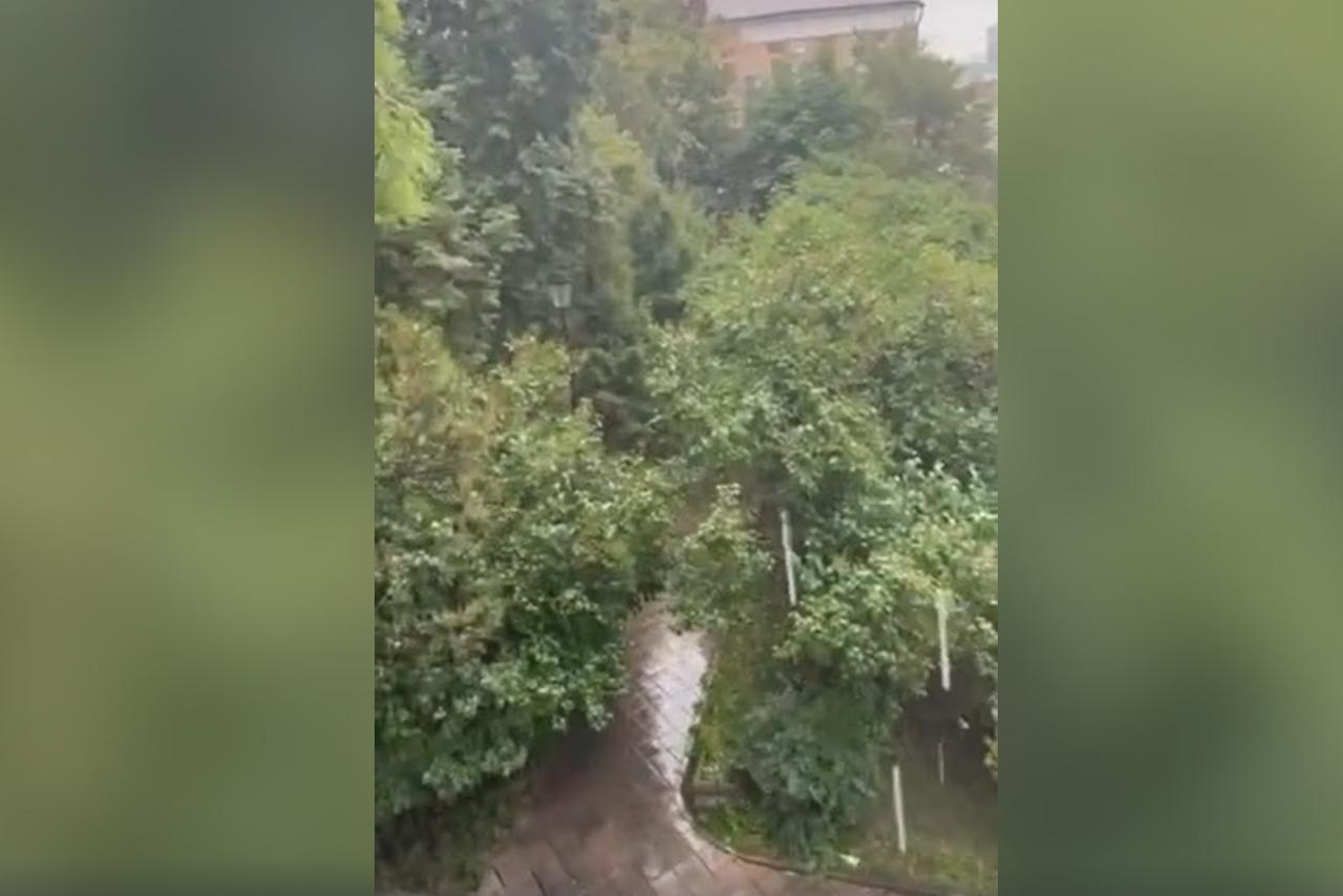 Тропический ливень в Москве попал на видео