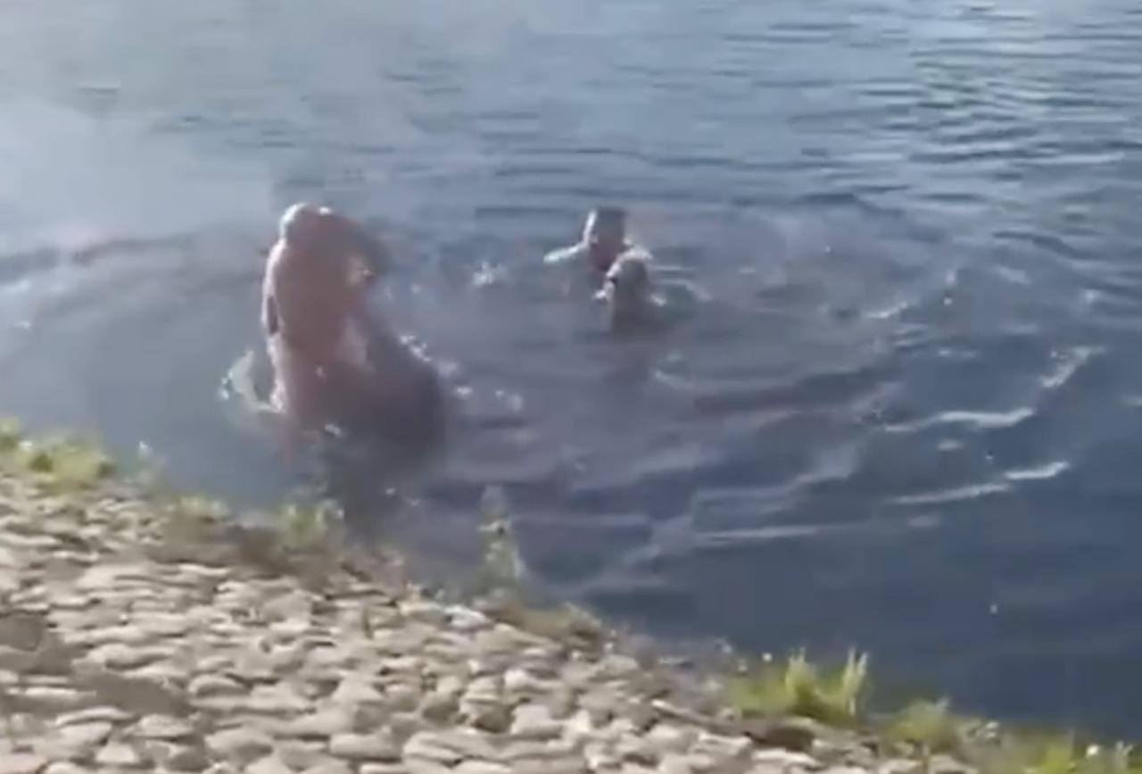 Спасение мужчины из пруда в Москве попало на видео