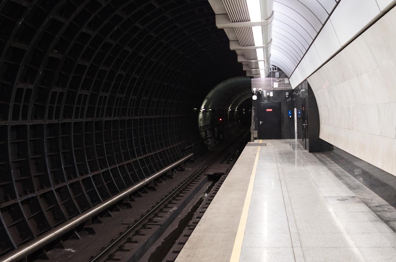 Задержание полуголого мужчины в московском метро попало на видео