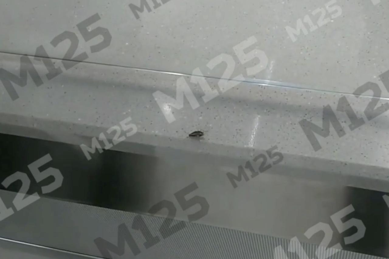 Таракан в отделе кулинарии сетевого супермаркета в Москве попал на видео