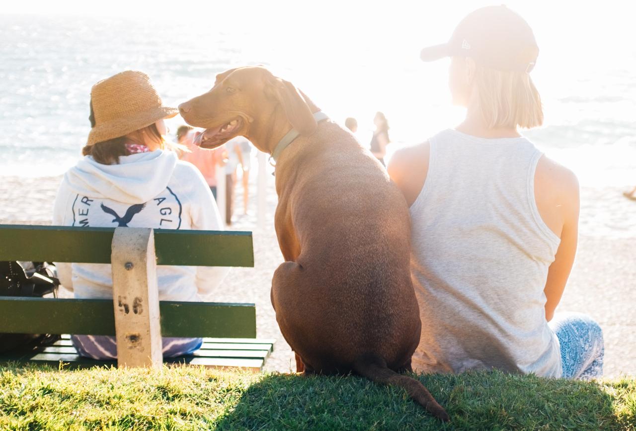 Стали известны самые народные пляжи Москвы