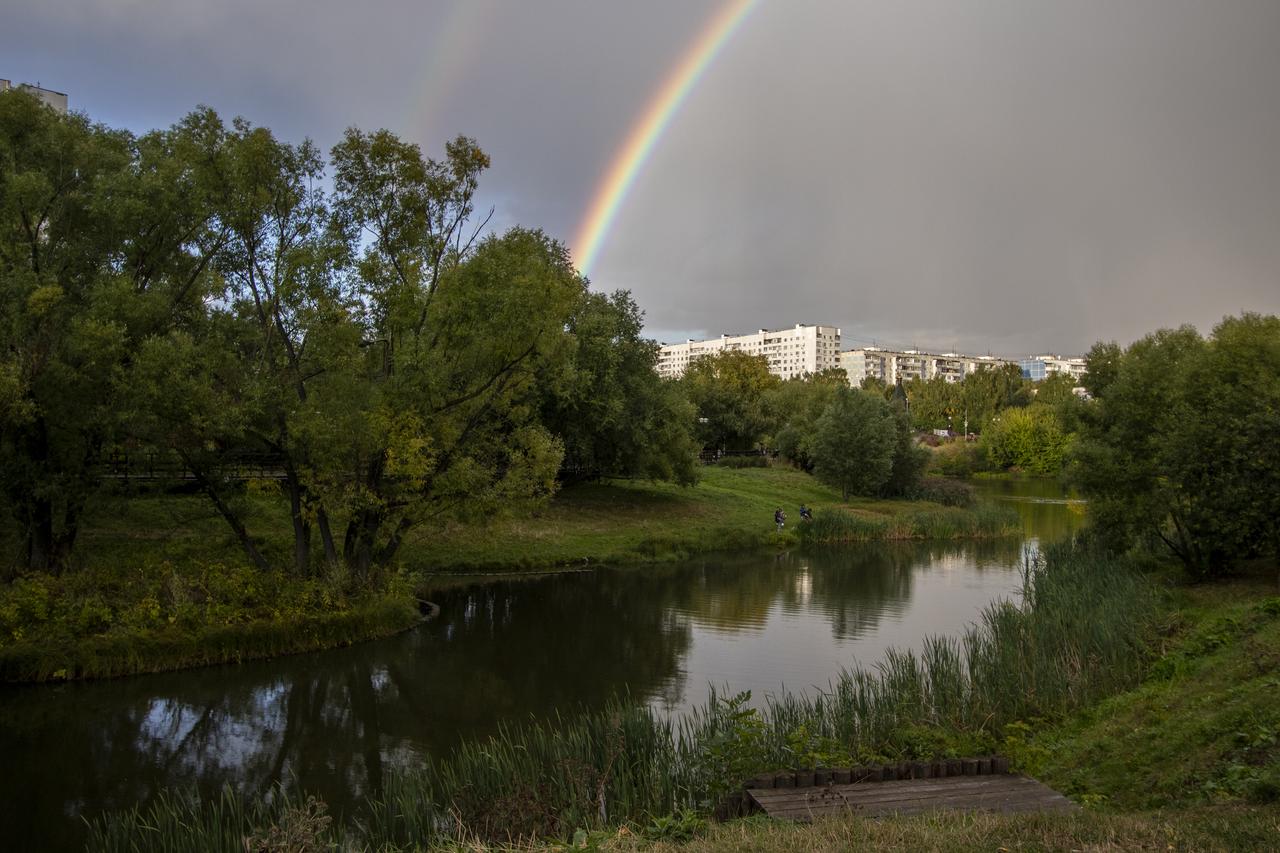 Стало известно о главной «зеленой» проблеме Москвы