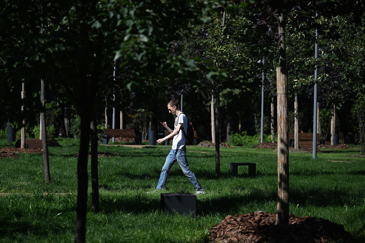 Назван самый экологичный народный парк в столице