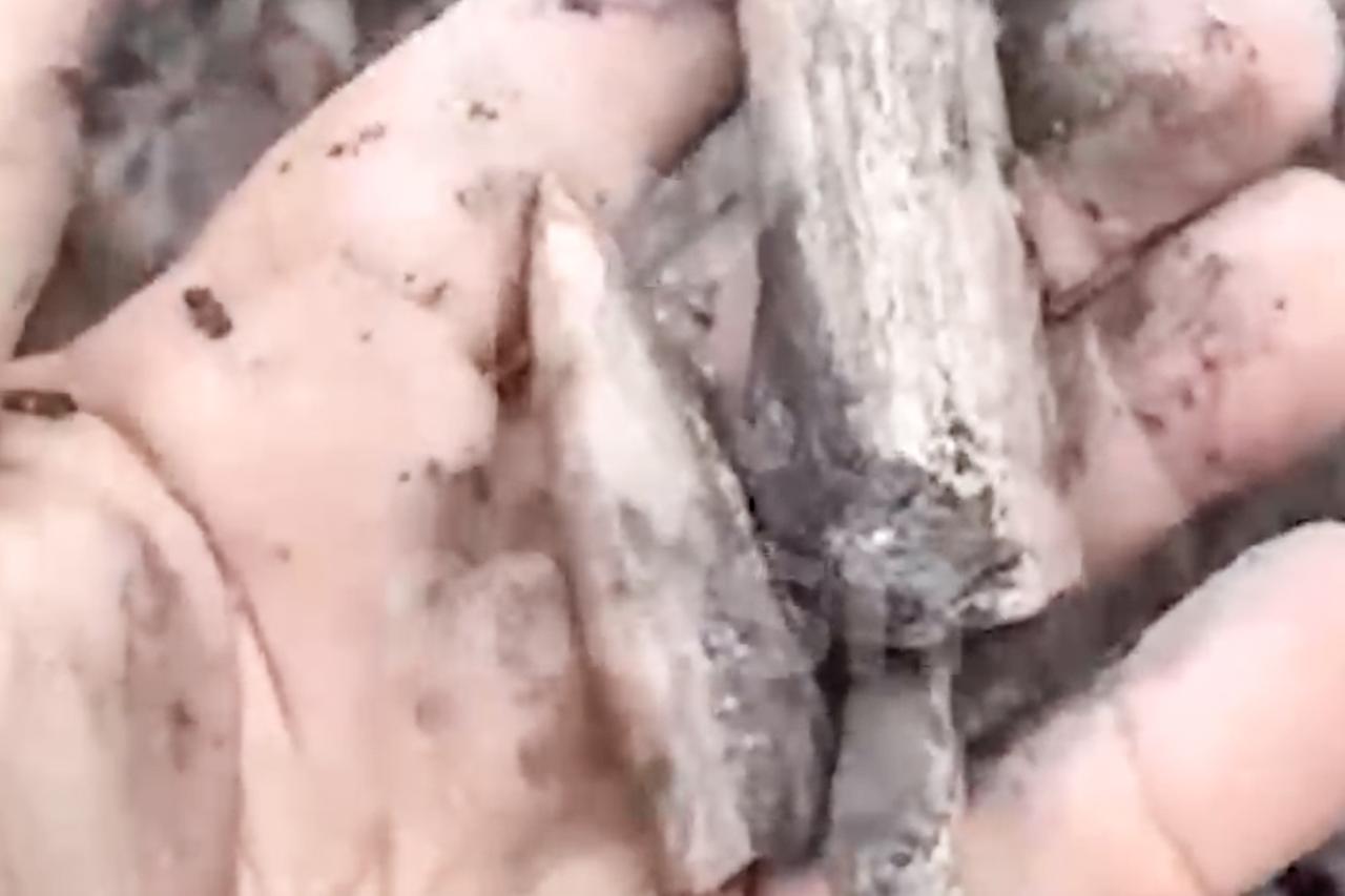 Найденные на стройке в Москве останки динозавра попали на видео