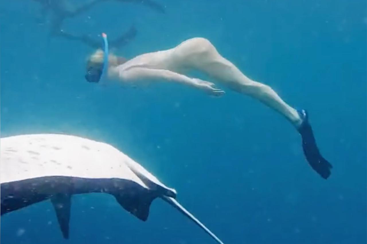 Юлианна Караулова опубликовала видео плавания с гигантским скатами