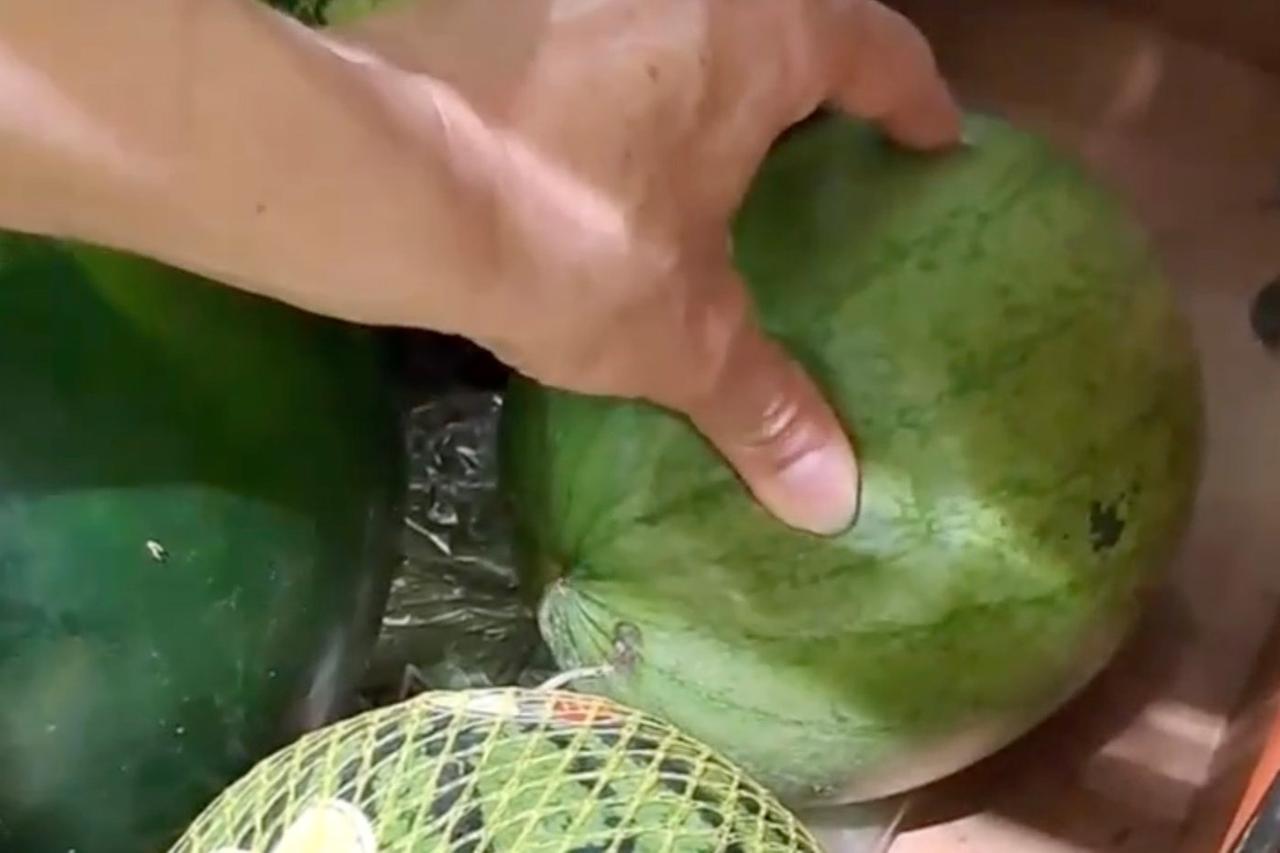 Арбуз-антистресс сняли на видео в московском магазине