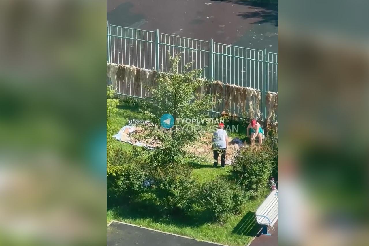 В Подмосковье женщины решили выбить десятки овечьих шкур на детской площадке
