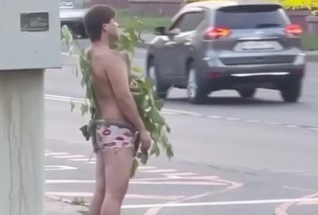 Идущий по улице в Москве мужчина в трусах прикрылся ветками и попал на видео
