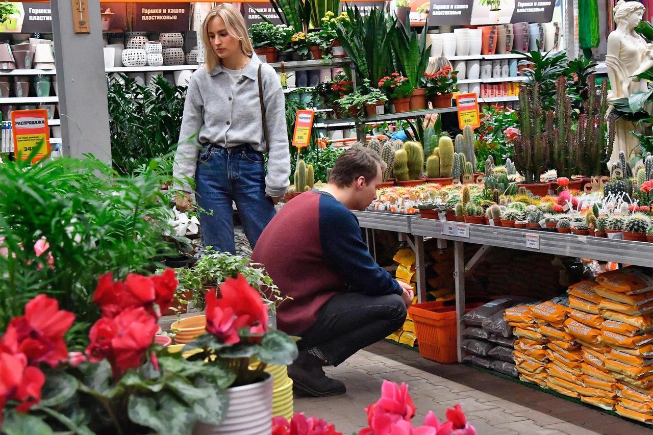 Назван главный принцип выбора цветов для дома