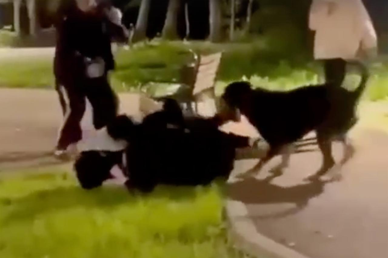 Драка женщин в Новой Москве попала на видео