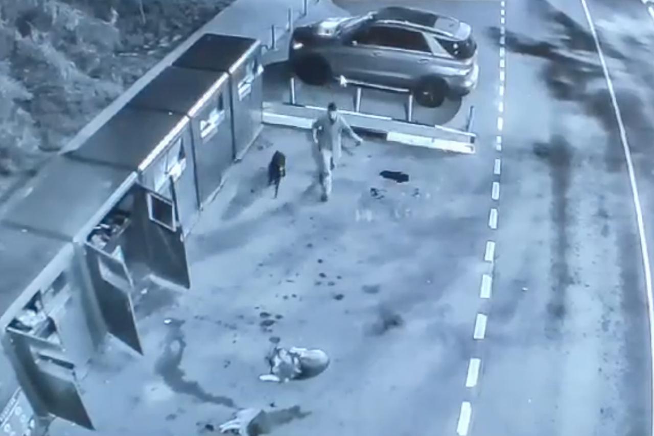 В Подмосковье объявили в розыск убийцу бездомной собаки