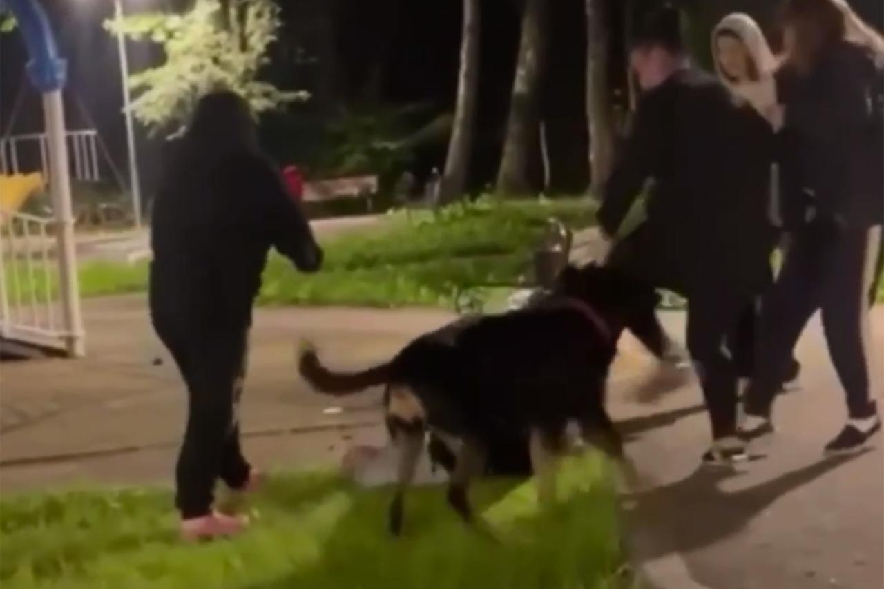Жительницы Новой Москвы натравили собак на женщину в хиджабе и попали на видео