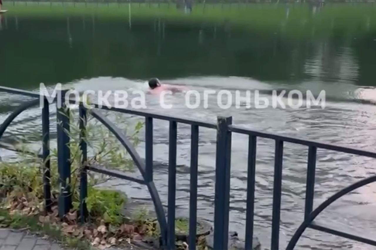 Купание мужчины в «семейниках» в московском пруду попало на видео