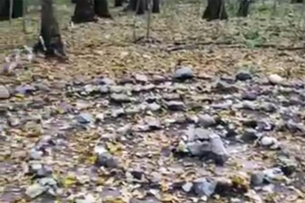 Загадочное «капище» в московском лесу попало на видео