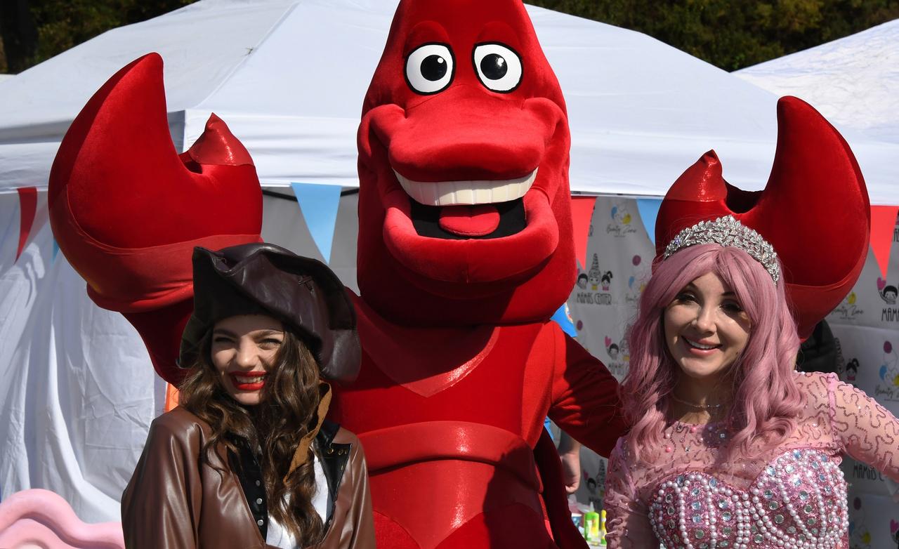 Определены самые востребованные у россиян творческие вакансии