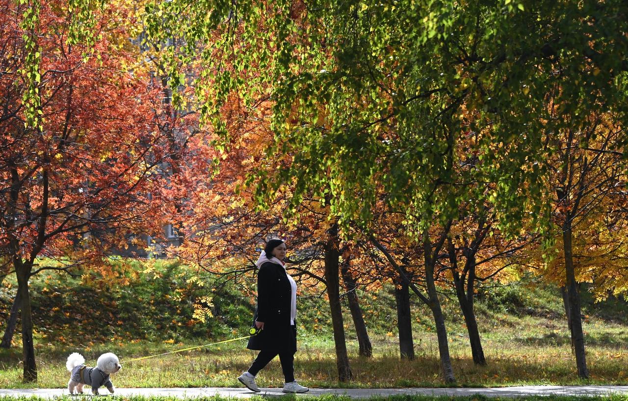Синоптик пообещала москвичам теплую неделю