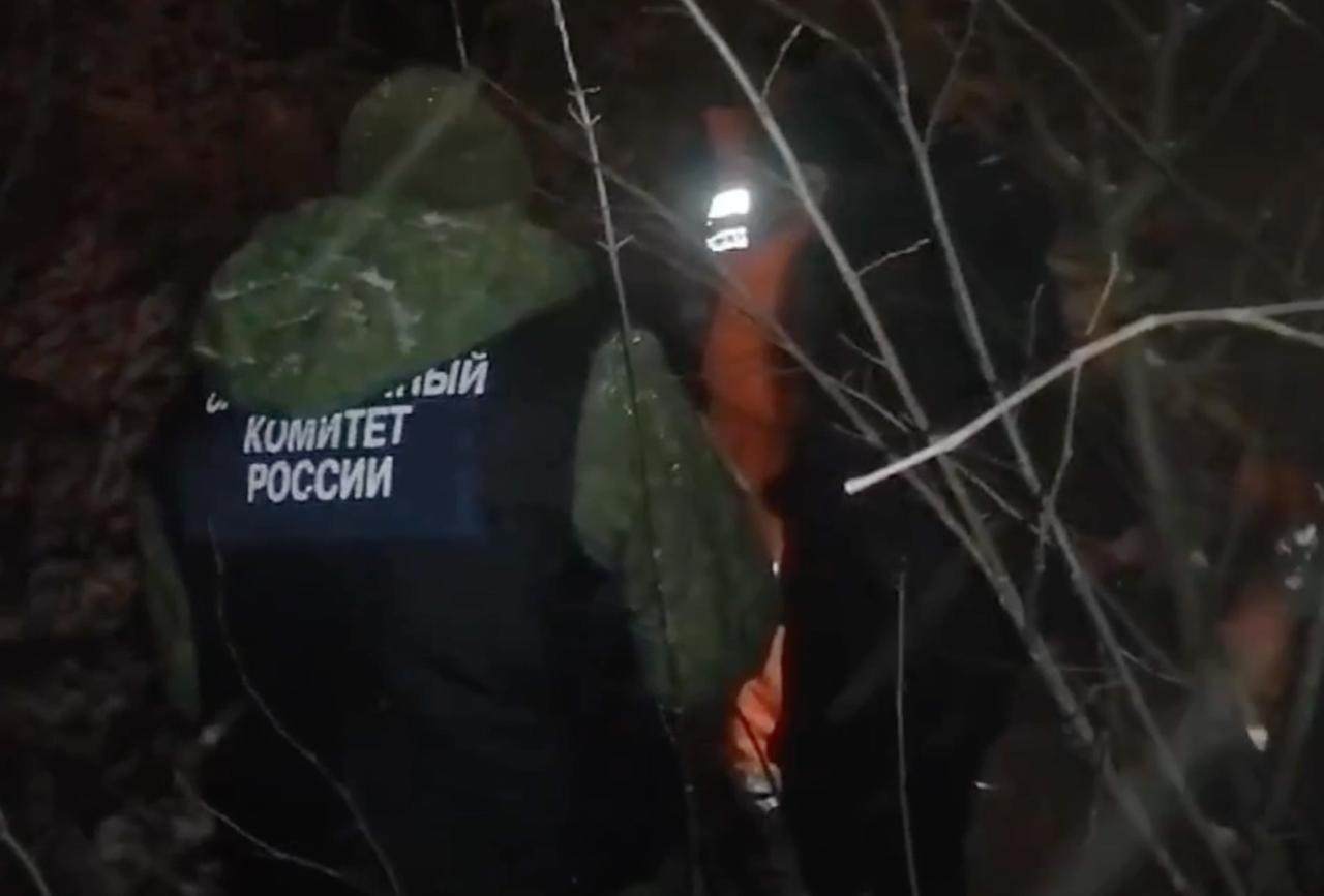 Москвич избил мать до смерти и расчленил тело спустя три недели