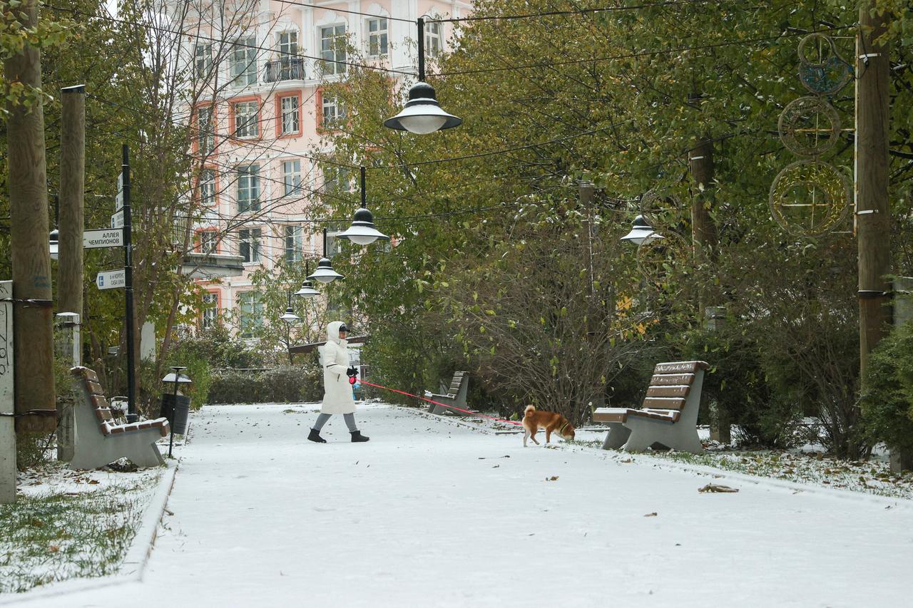Синоптик назвал дату наступления зимы в Москве