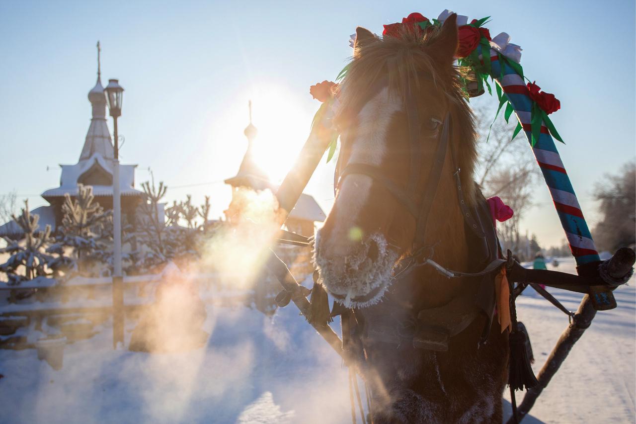 Раскрыта стоимость ОСАГО для столичных саней Деда Мороза