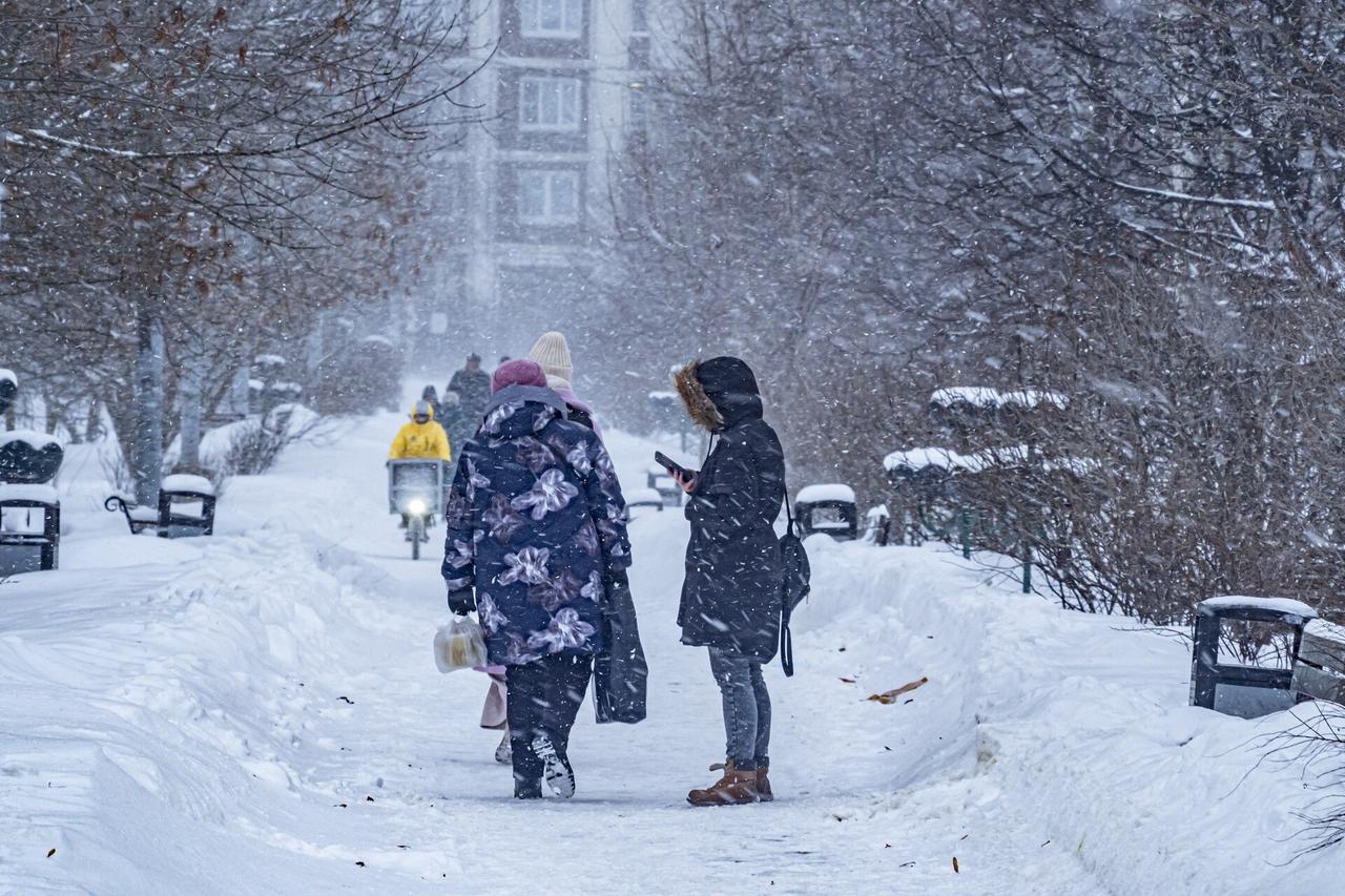 Москвичей предупредили о метелях