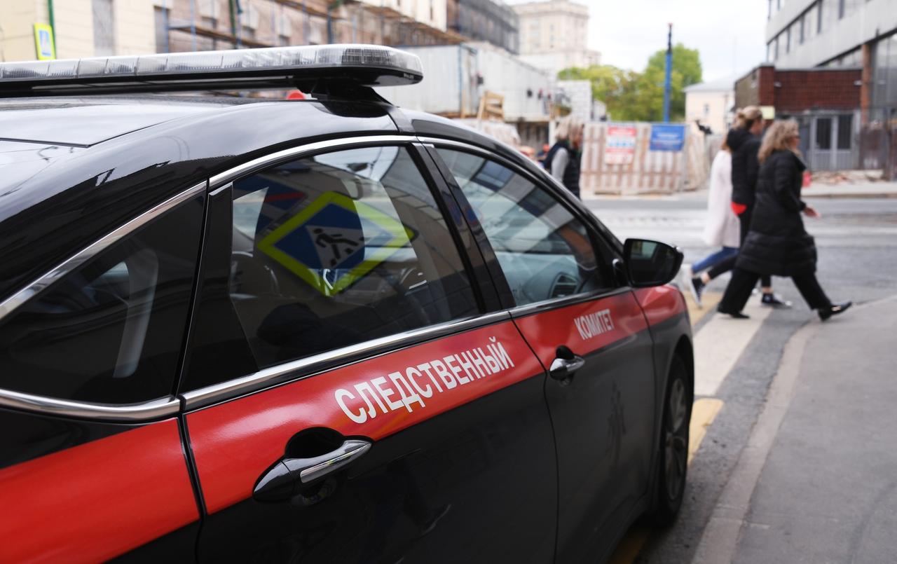 В Москве педофил надругался над двумя девочками в надземном переходе