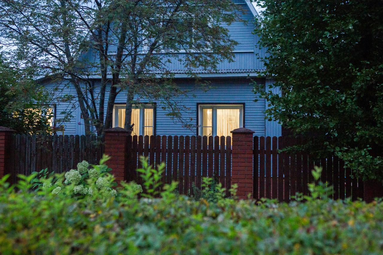 Дачникам назвали растения для посадки в апреле