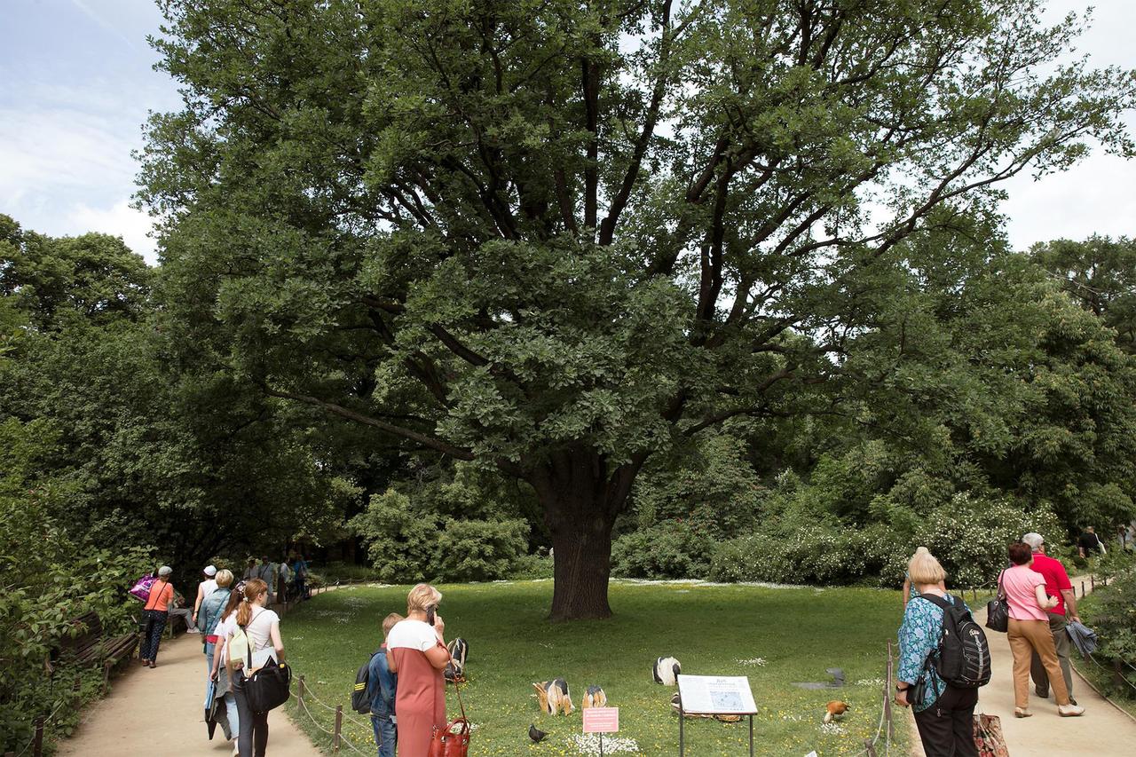 Москвичам посоветовали места для празднования майских праздников