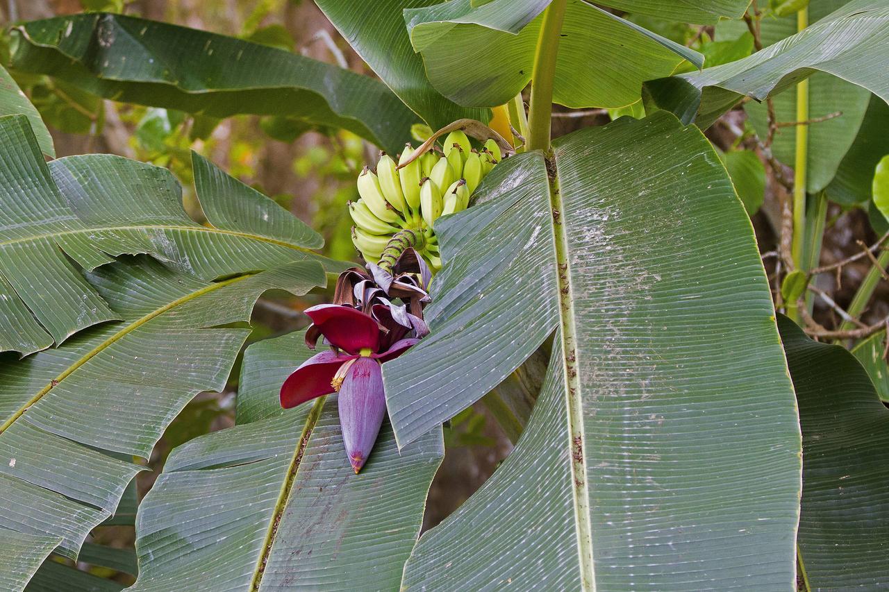 Архивное фото