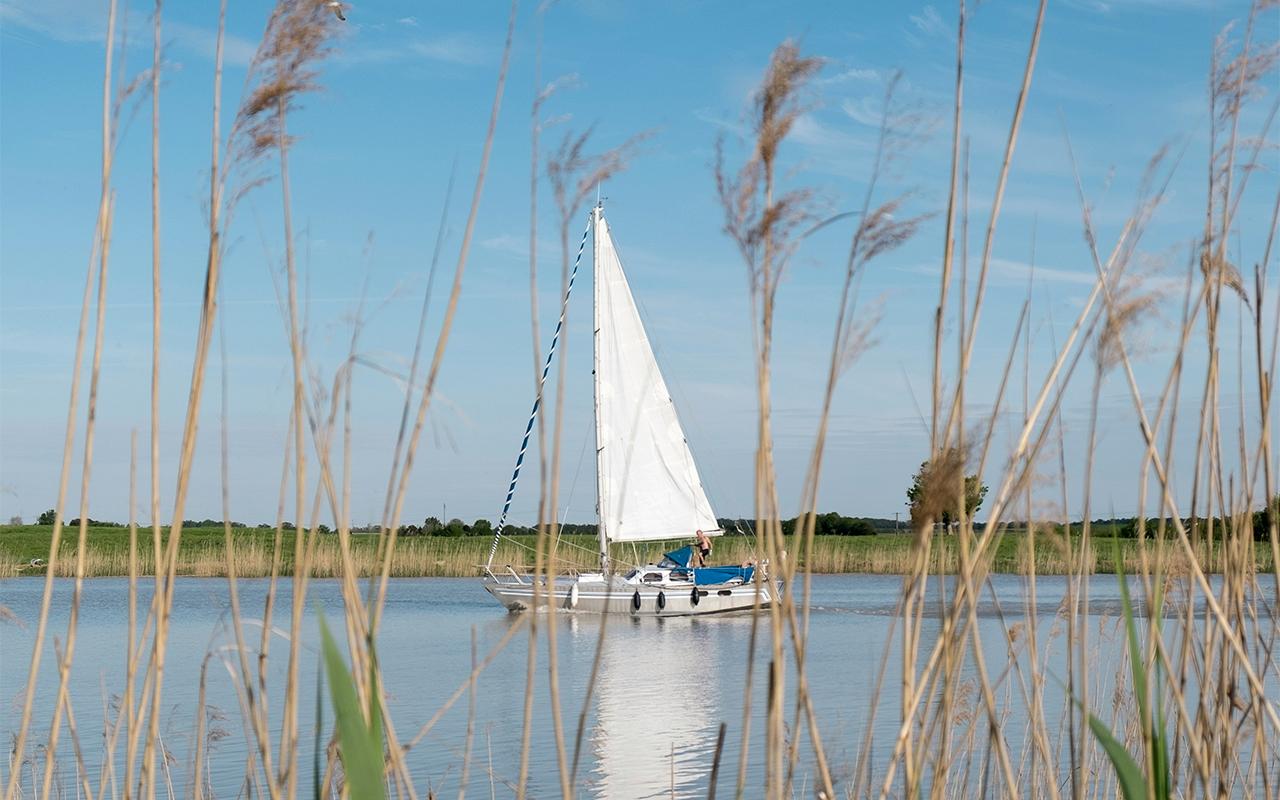 Воспитателя пансиона в Подмосковье обвинили в совращении детей