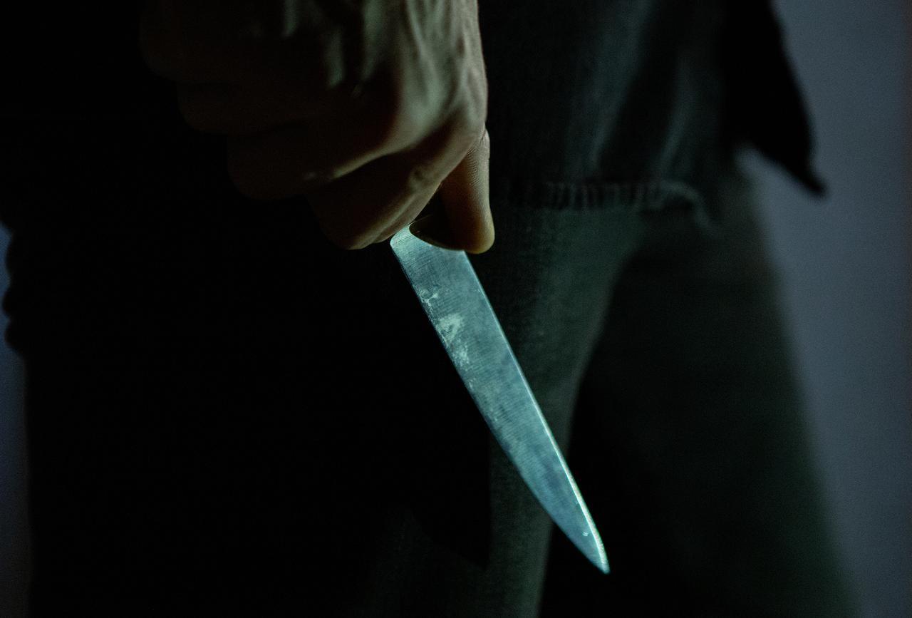 Россиянин порезал супругу и набросился с ножами на полицейского в Подмосковье