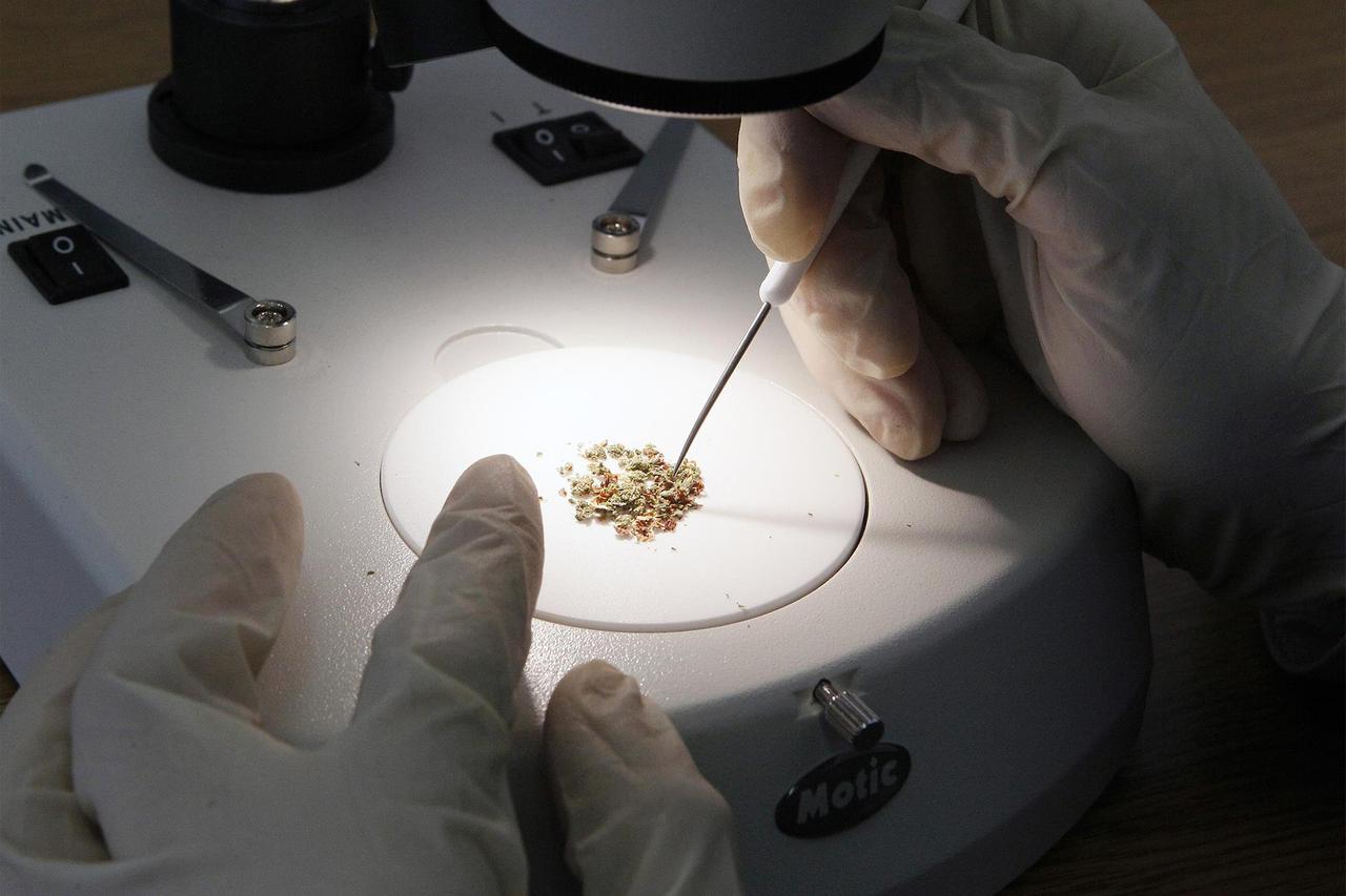 Житель Подмосковья организовал на даче нарколабораторию