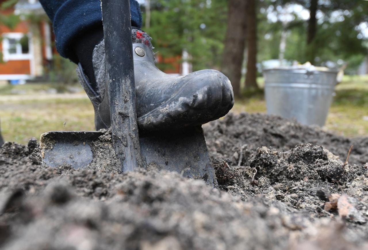 Россиянам дали советы по восстановлению спины после работы в огороде