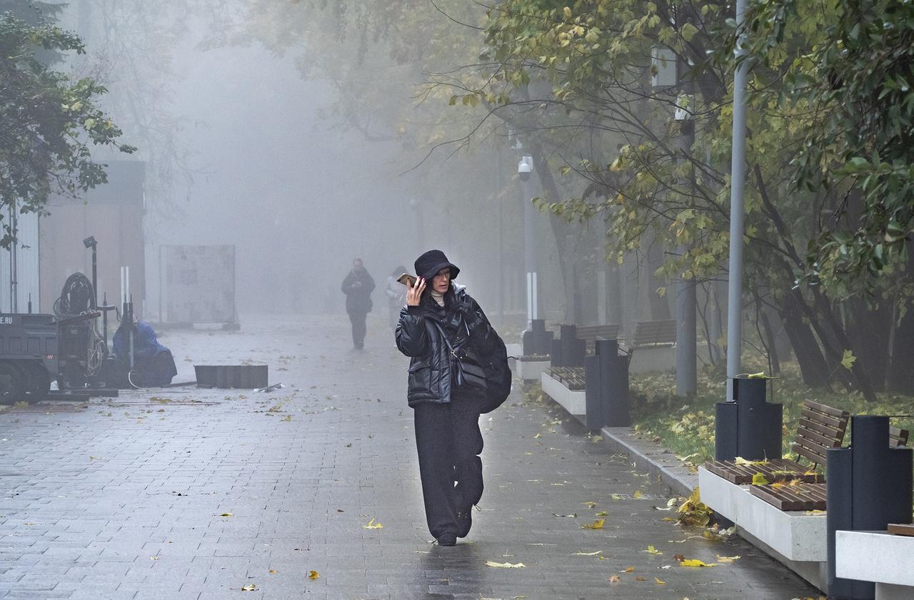 Жителей Подмосковья призвали подготовиться к первым заморозкам на этой неделе