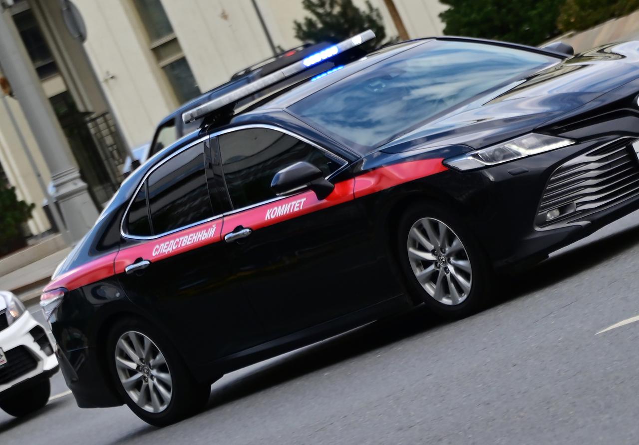 Семейную пару расстреляли во время прогулки с собакой в Подмосковье