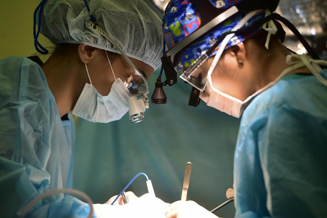 У жительницы Подмосковья на ушах выросли натуральные «сережки»