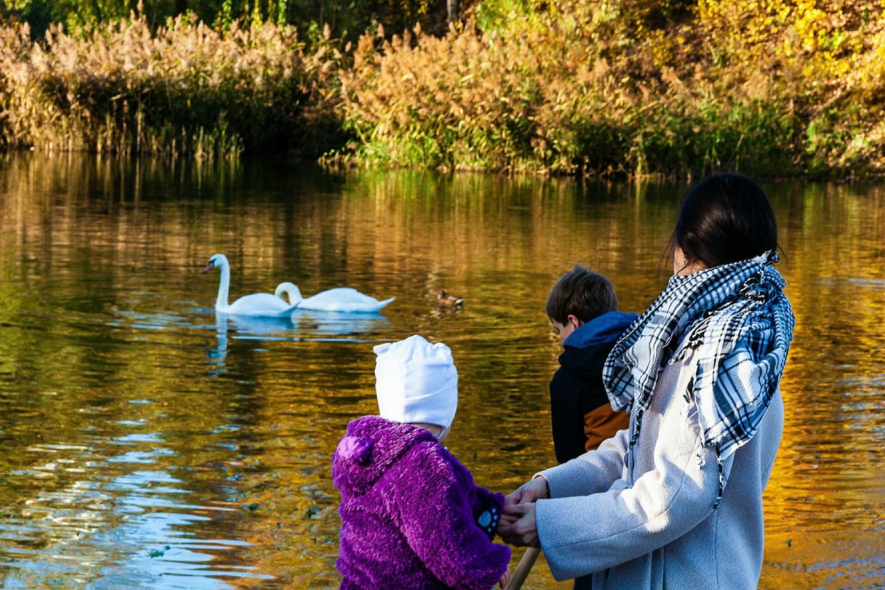 Солнечных дней в Москве в октябре оказалось меньше нормы