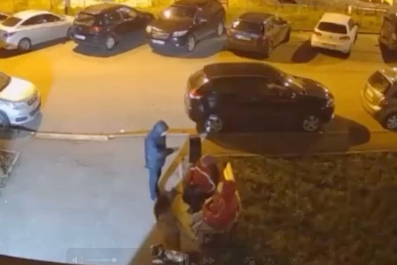 В Подмосковье мужчина напал на пенсионерку из-за бездомных животных