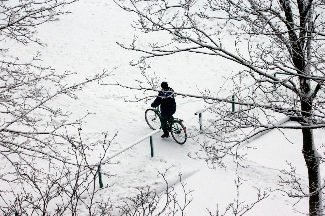 В Москве появился сервис бесплатного хранения велосипедов на зиму