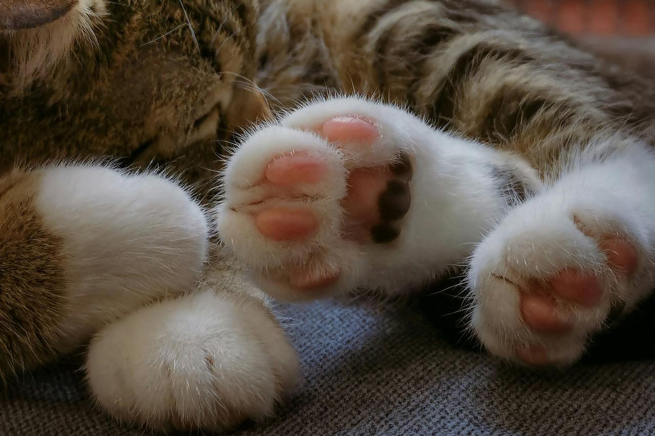 Архивное фото.