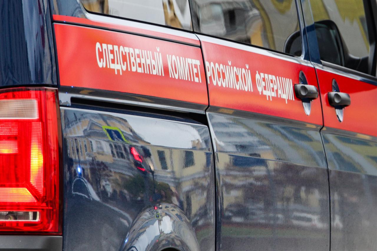 В лесу в Подмосковье расстреляли двух охотников