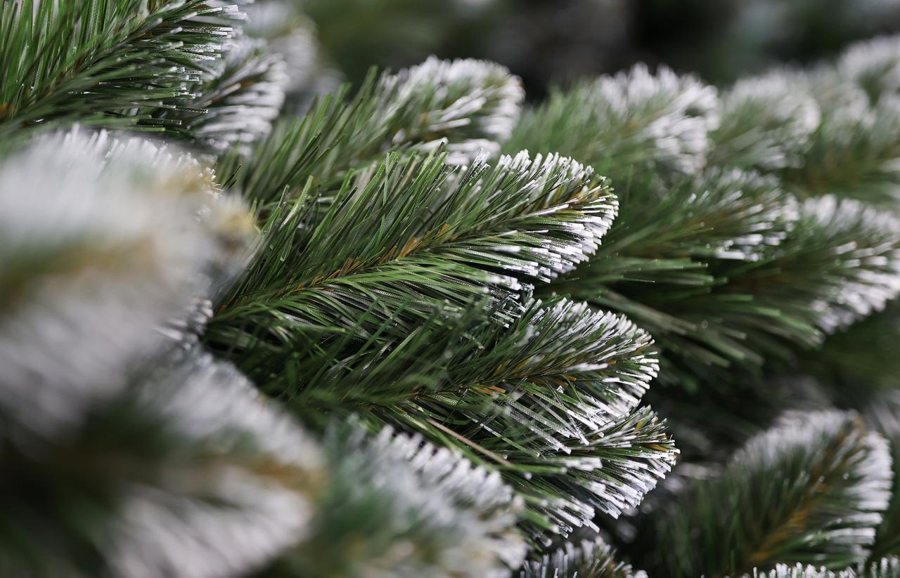 Москвичей предупредили об опасности новогодних елок