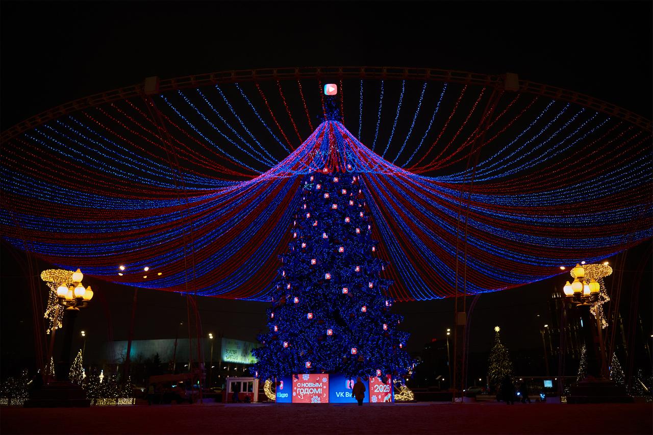 Одну из московских елок зарегистрируют в Книге рекордов России